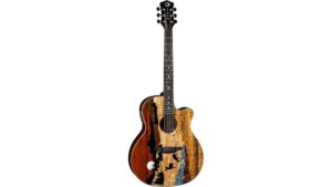 acoustic electric guitar review