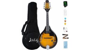 acoustic electric mandolin review