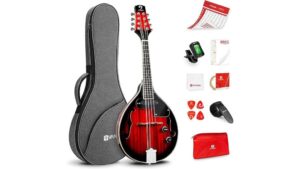acoustic electric mandolin review