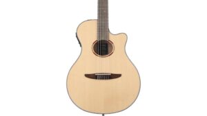 acoustic electric nylon guitar