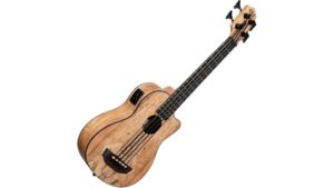 acoustic electric spalted maple