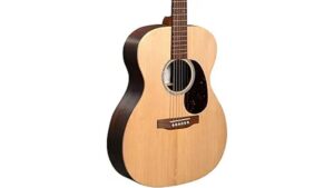 acoustic elegance brazilian rosewood