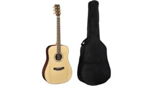 acoustic guitar bag review