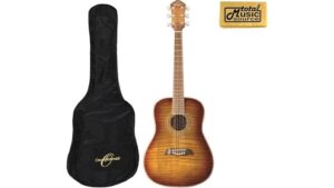 acoustic guitar beginner kit