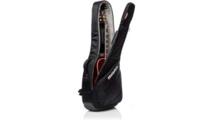 acoustic guitar case review