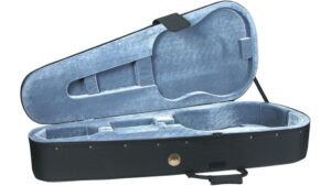 acoustic guitar deluxe case