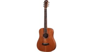 acoustic guitar for beginners