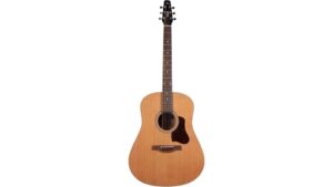 acoustic guitar review article