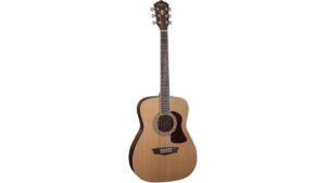 acoustic guitar series review