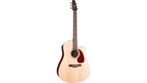 acoustic guitar spruce review