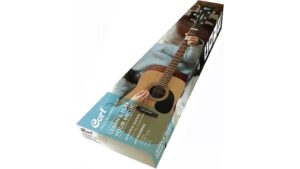 acoustic guitar value pack