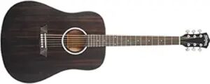 acoustic guitar with ebony