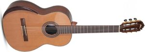 acoustic nylon string guitar