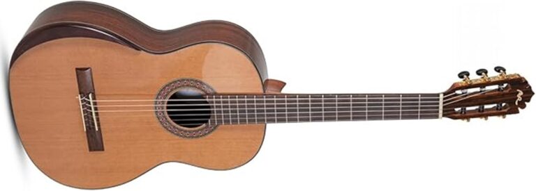 acoustic nylon string guitar