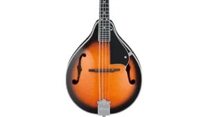 affordable a style mandolin