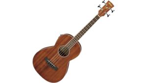 affordable acoustic electric bass