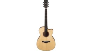 affordable acoustic electric value