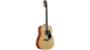 affordable acoustic guitar review