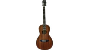 affordable acoustic guitar starter