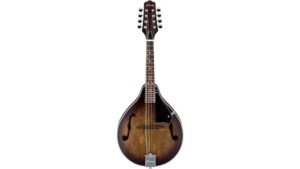 affordable acoustic mandolin review