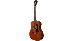 affordable acoustic masterpiece