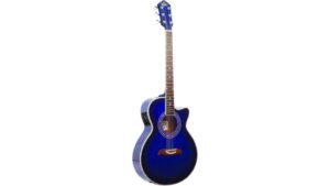 affordable beginner acoustic electric