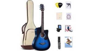 affordable beginner acoustic guitar