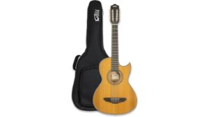 affordable beginner bajo quinto