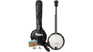 affordable beginner banjo kit