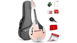 affordable beginner mandolin kit