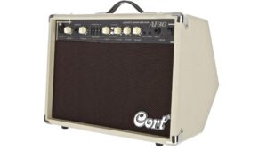 affordable beginner practice amplifier