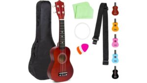affordable beginner ukulele choice