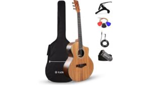 affordable built in pickup