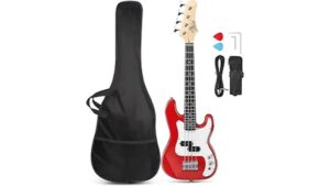 affordable chinese precision bass