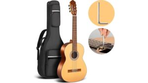 affordable classical guitar review