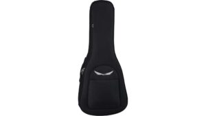 affordable dean gig bag