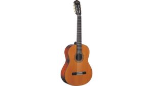 affordable entry level guitar