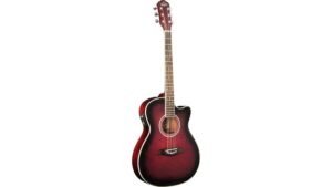 affordable florentine acoustic electric