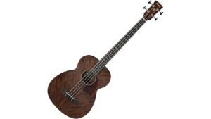 affordable mini jumbo bass