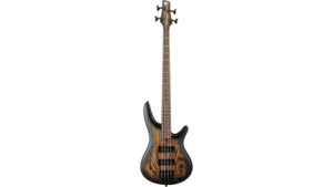 affordable modern electric bass