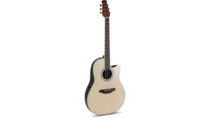 affordable roundback acoustic guitar