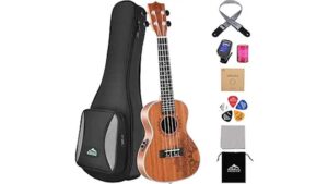 affordable starter concert ukulele