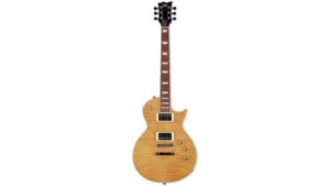 affordable stylish electric guitar