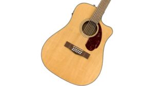 affordable twelve string fender