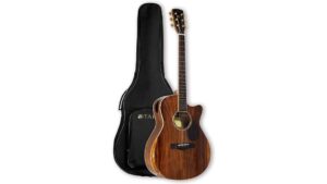 antique electric acoustic guitar