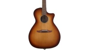 auditor guitar review newporter