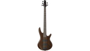 bass guitar review
