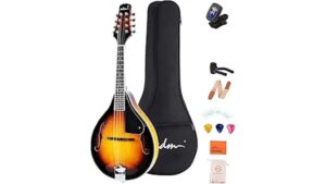 beautiful mandolin sound quality