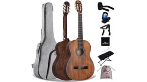 beginner acoustic guitar review