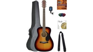 beginner friendly acoustic guitar
